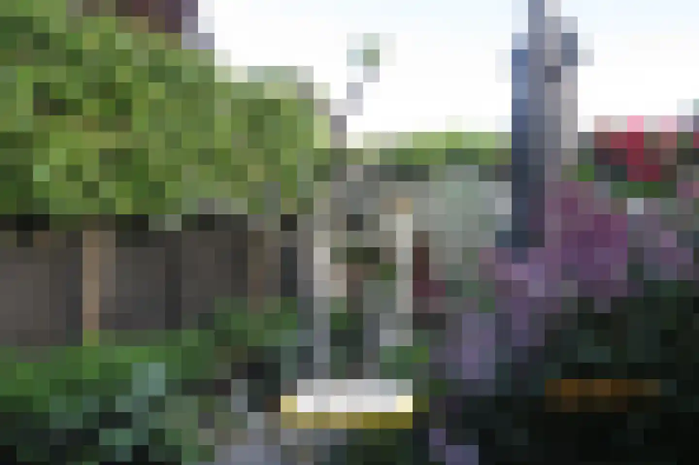 Vrouwemadestraat 24 Roosendaal thumbnail 51