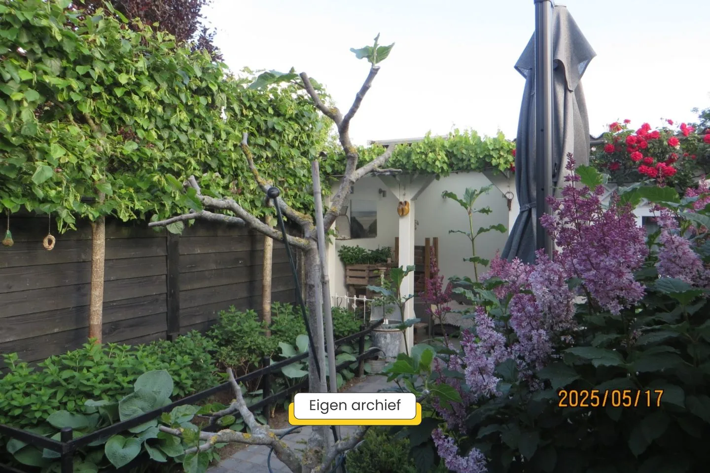 Vrouwemadestraat 24 Roosendaal thumbnail 51