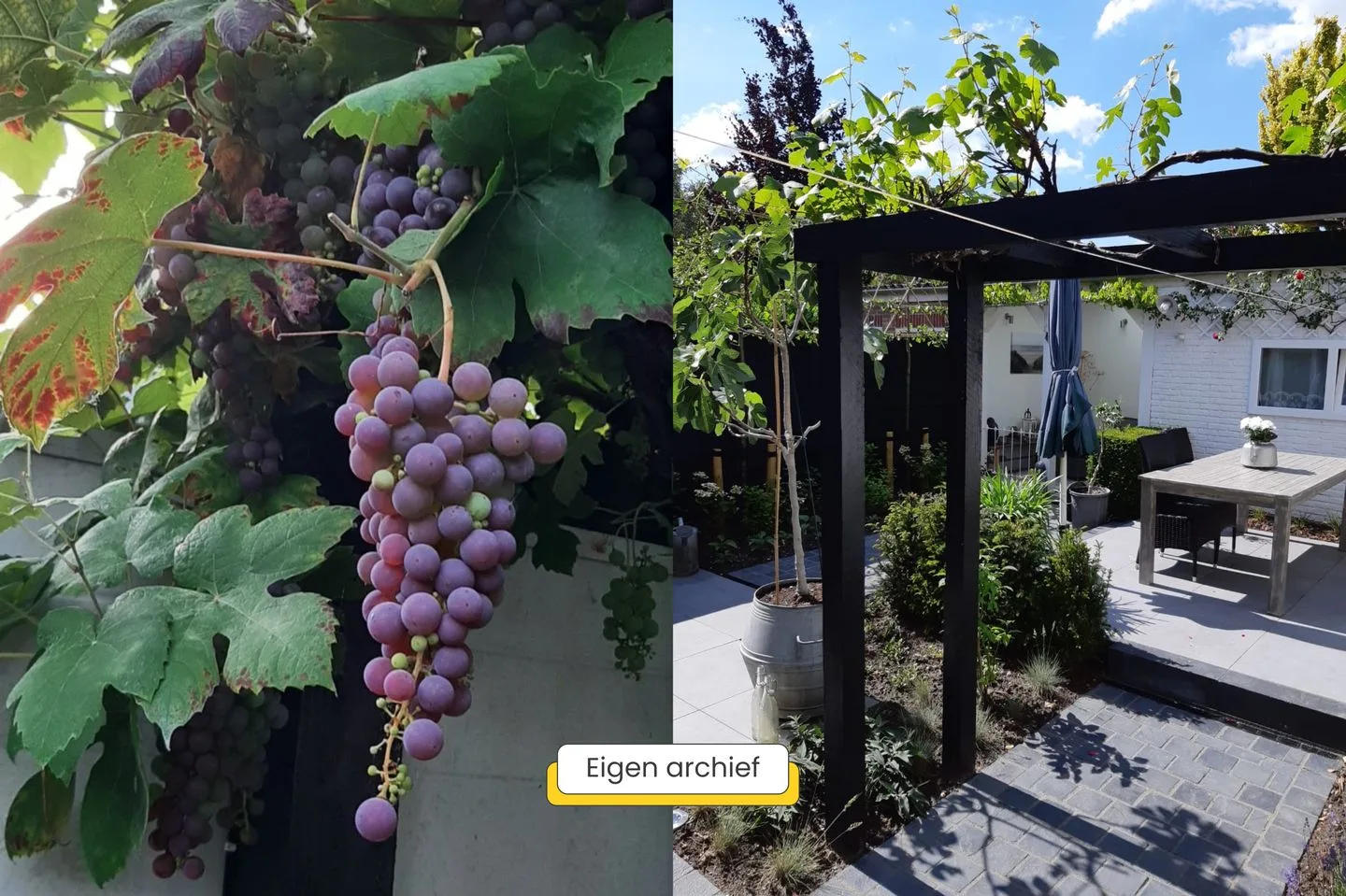 Vrouwemadestraat 24 Roosendaal thumbnail 52