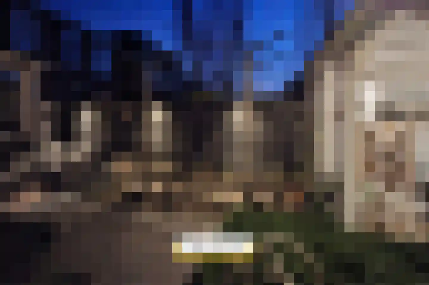 Vrouwemadestraat 24 Roosendaal thumbnail 53