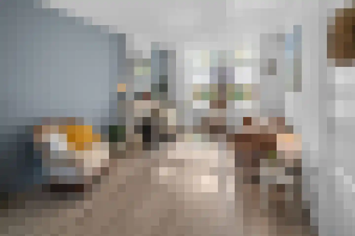 Vrouwemadestraat 24 Roosendaal thumbnail 7
