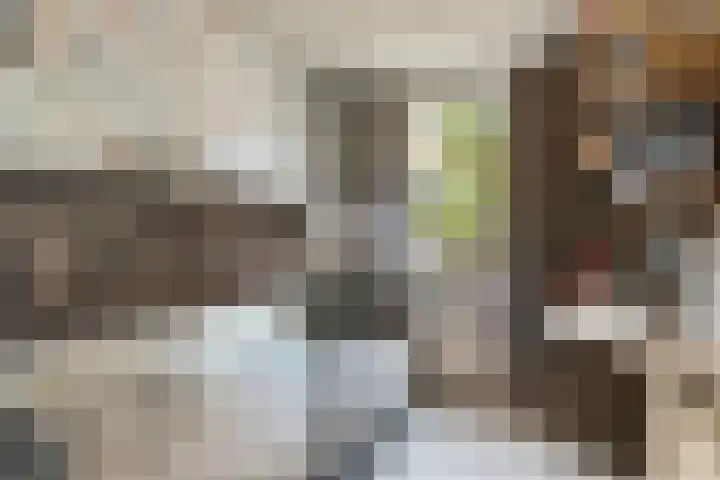 Vrouwemadestraat 69 Roosendaal thumbnail 25