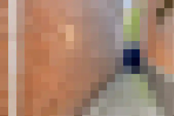 Vrouwemadestraat 69 Roosendaal thumbnail 27
