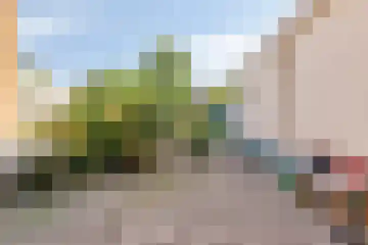 Vrouwemadestraat 69 Roosendaal thumbnail 28