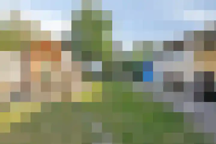 Vrouwemadestraat 69 Roosendaal thumbnail 30