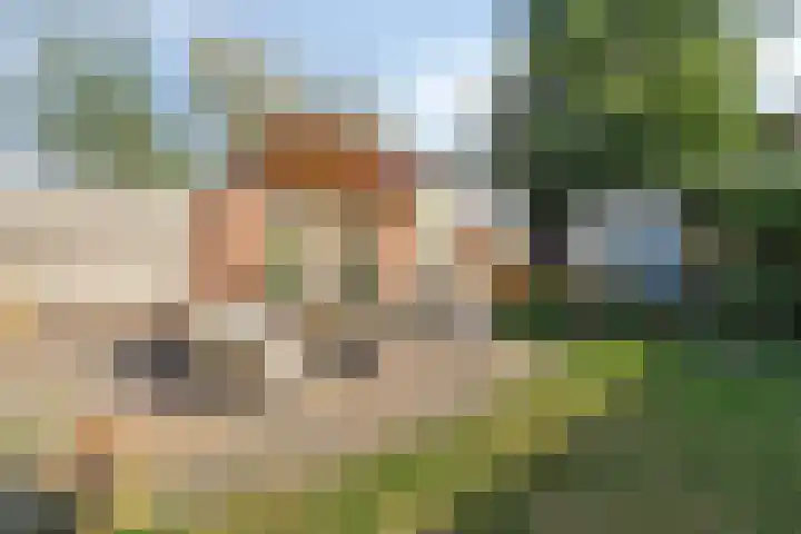 Vrouwemadestraat 69 Roosendaal thumbnail 31