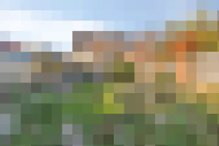 Vrouwemadestraat 69 Roosendaal thumbnail 32