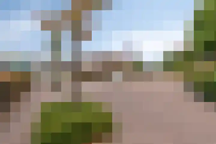 Vrouwemadestraat 69 Roosendaal thumbnail 37