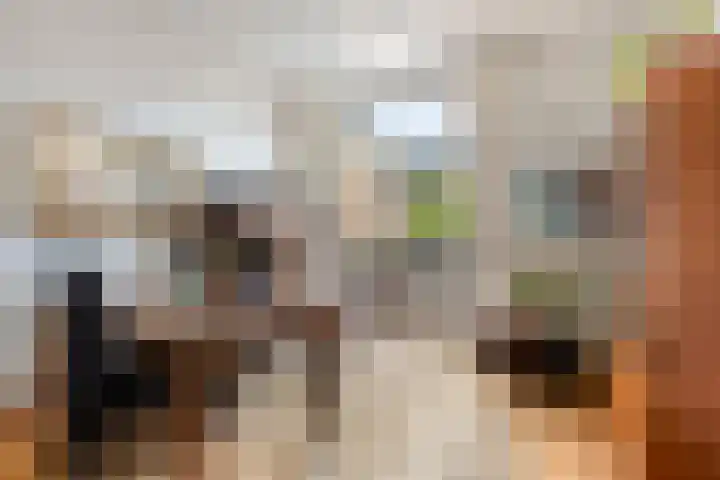 Vrouwemadestraat 69 Roosendaal thumbnail 6