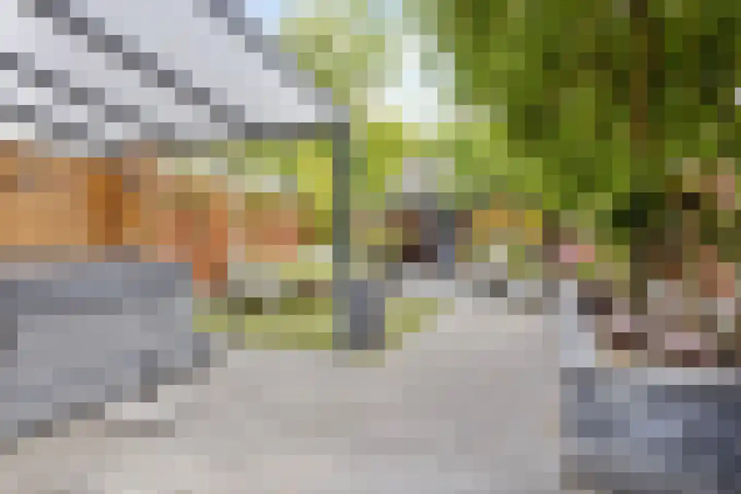 Vrouwemadestraat 87 Roosendaal thumbnail 40