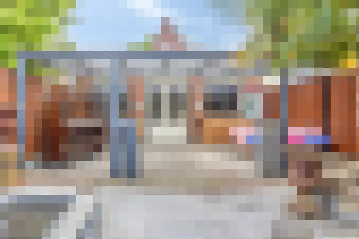 Vrouwemadestraat 87 Roosendaal thumbnail 42