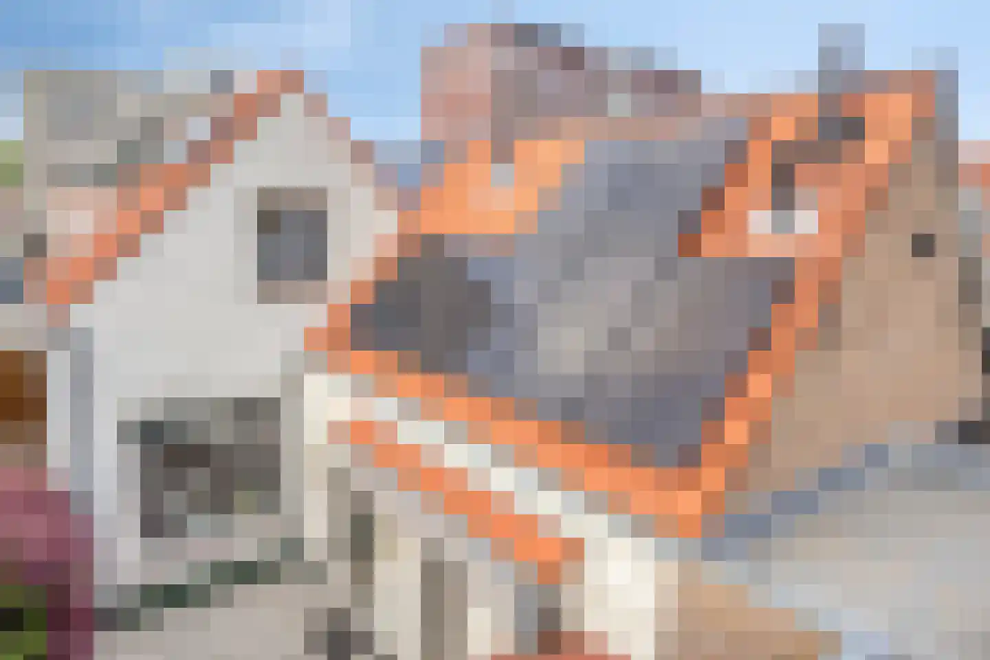 Vrouwemadestraat 87 Roosendaal thumbnail 46