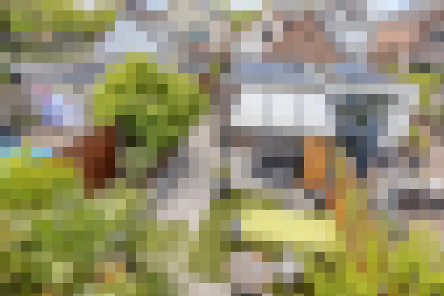 Vrouwemadestraat 87 Roosendaal thumbnail 48