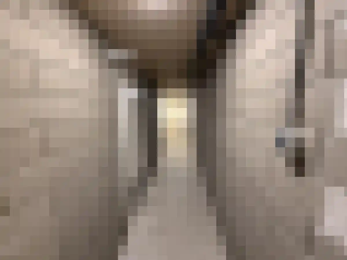 Vrouwengelukhof 102 Amsterdam thumbnail 5