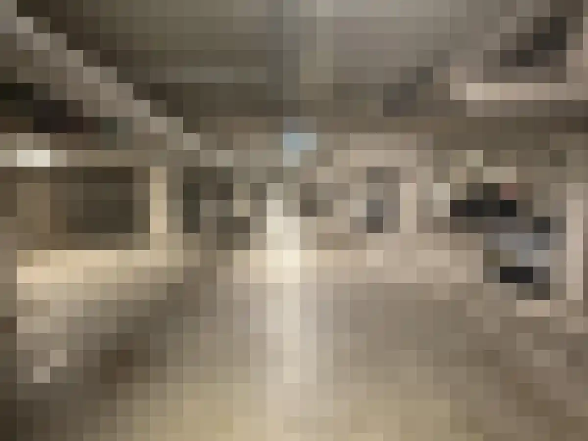Vrouwengelukhof 4 Amsterdam thumbnail 4