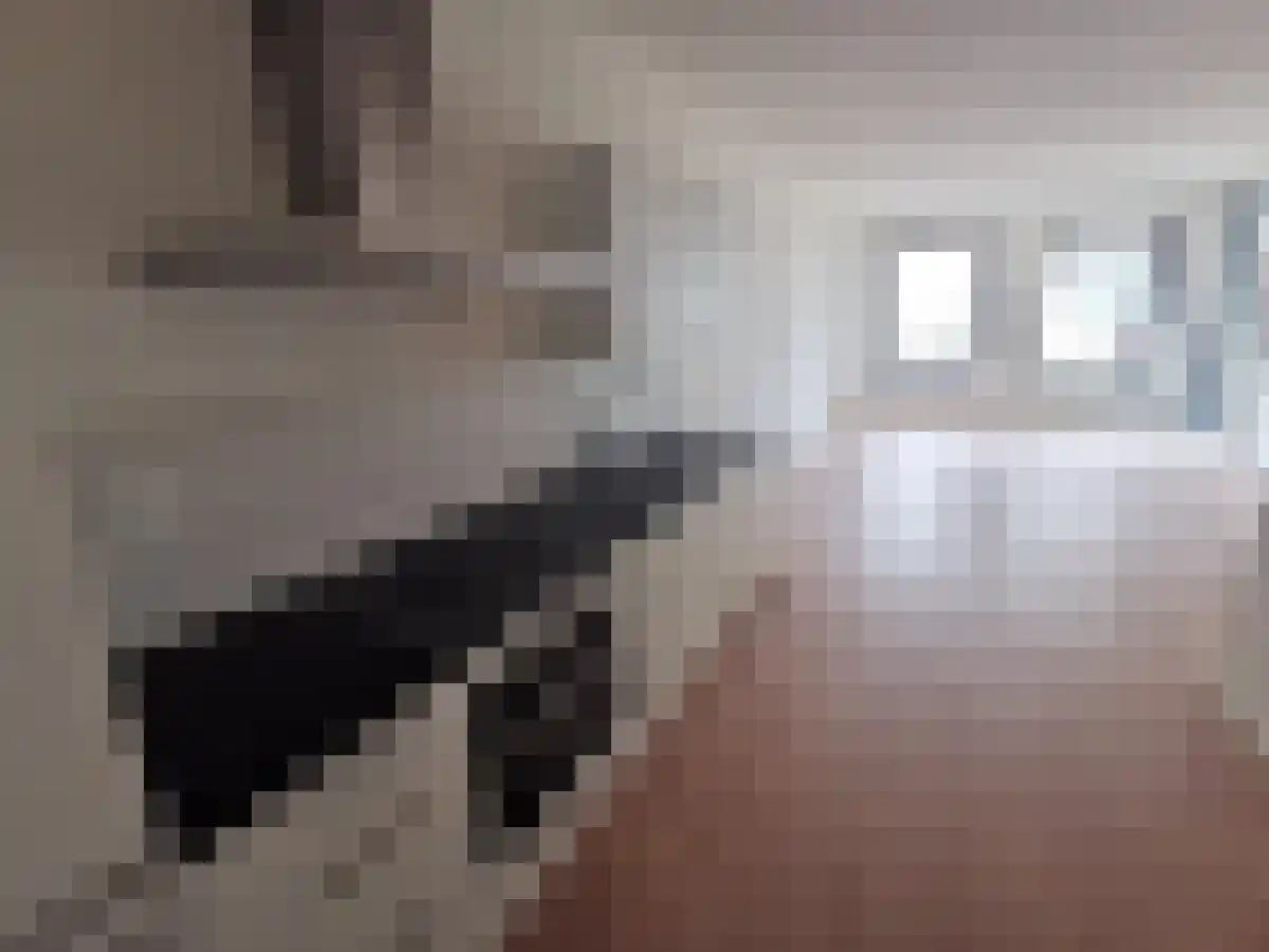 Vrouwengelukhof 49 Amsterdam thumbnail 5