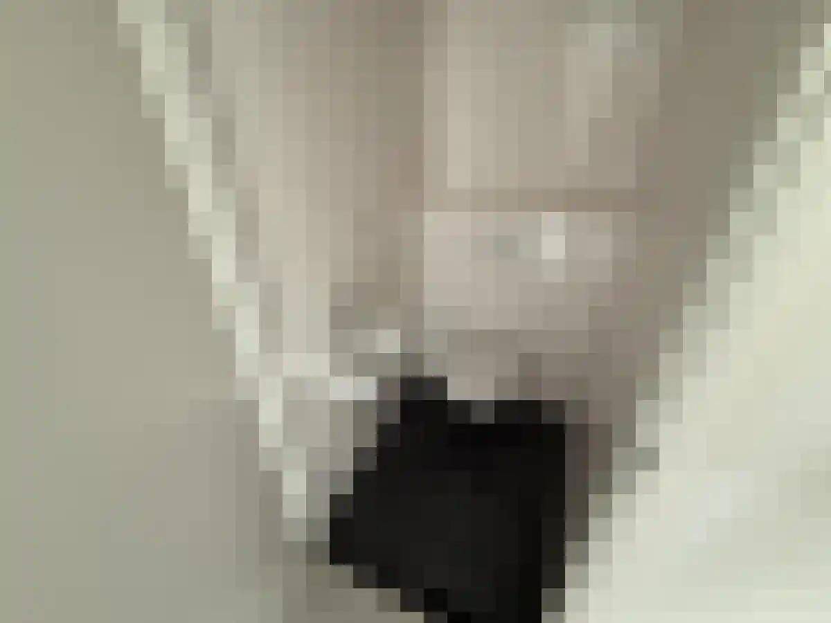 Vrouwengelukhof 66 Amsterdam thumbnail 5