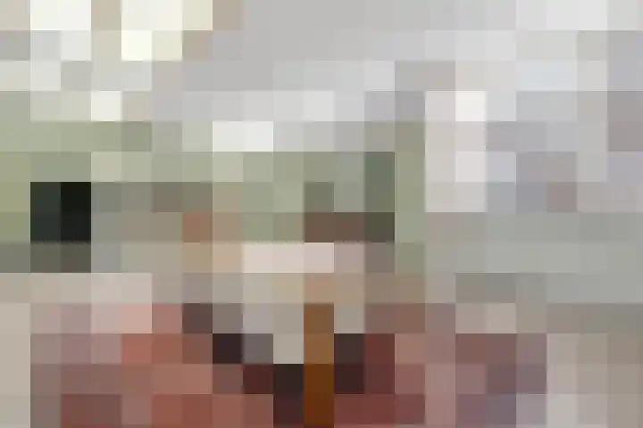 Vrouwenhoflaan 2 a Brielle thumbnail 10