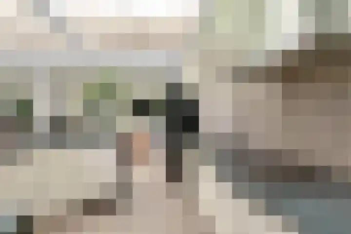Vrouwenhoflaan 2 a Brielle thumbnail 15