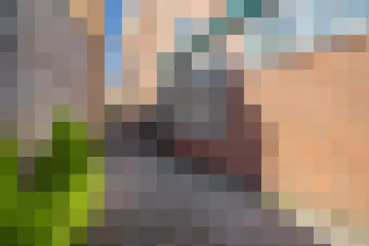 Vrouwenhoflaan 2 a Brielle thumbnail 8