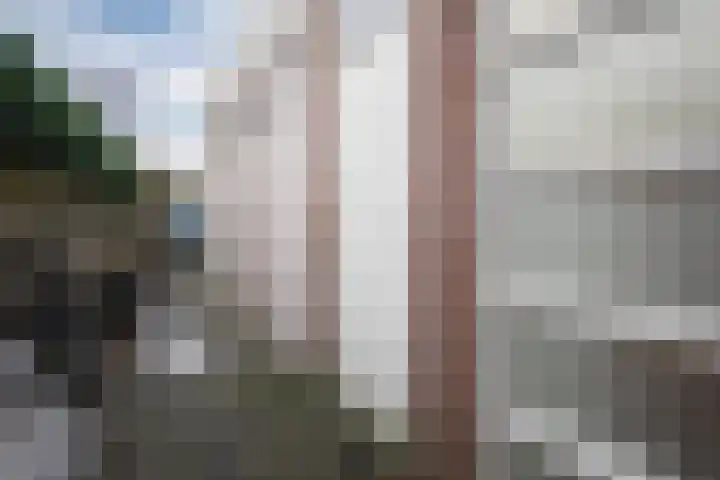 Vrouwenhuisstraat 1 B Montfoort thumbnail 18