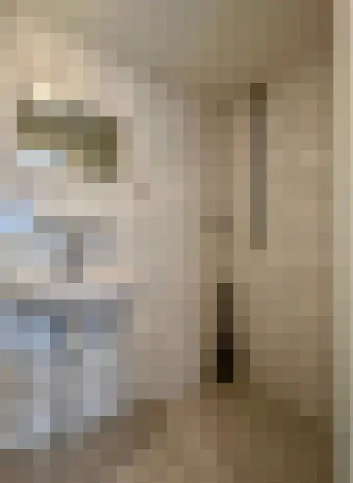 Vrouwenhuisstraat 1 B Montfoort thumbnail 22