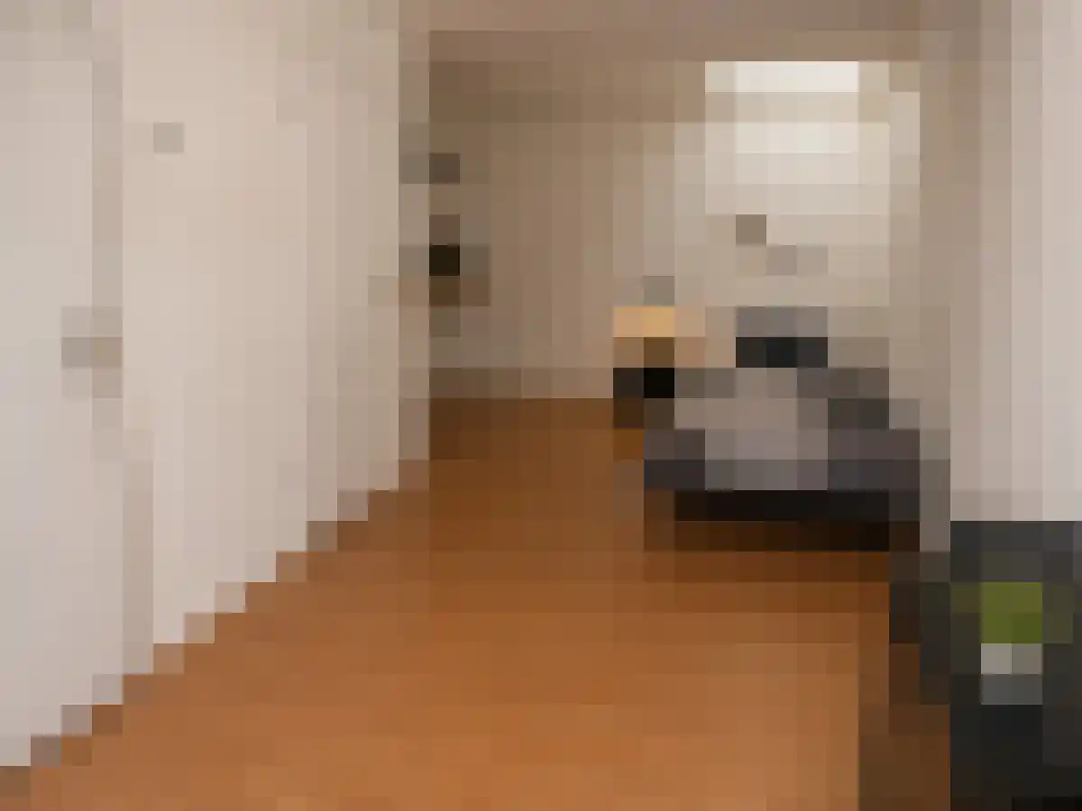Vrouwenkerkhof 6 Leiden thumbnail 4