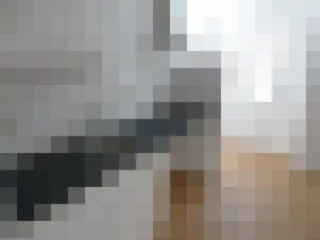 Vrouwenkerkhof 8 Leiden thumbnail 5