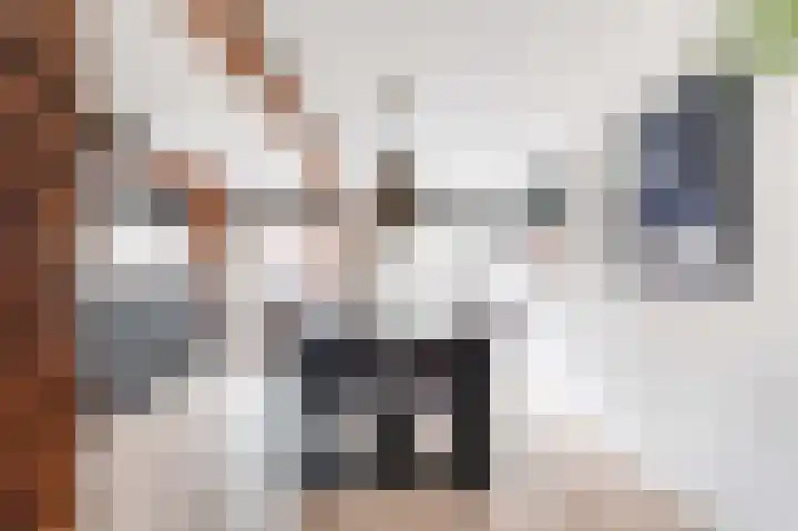Vrouwenkerksteeg 21 Leiden thumbnail 18