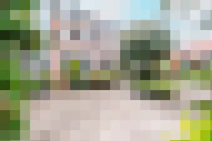 Vrouwenkerksteeg 21 Leiden thumbnail 7