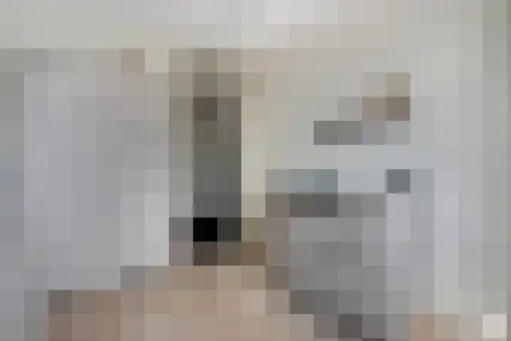 Vrouwenlaan 115 Zwolle thumbnail 18