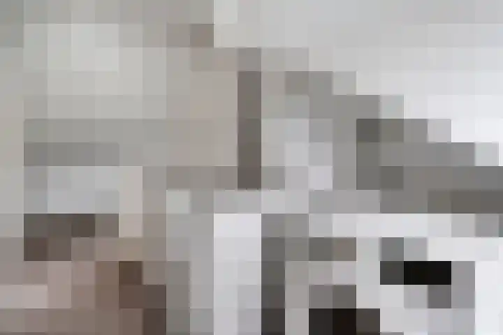 Vrouwenlaan 115 Zwolle thumbnail 21