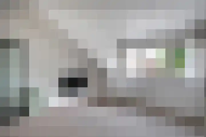 Vrouwenlaan 115 Zwolle thumbnail 25