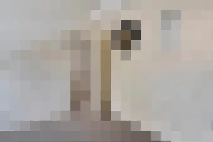 Vrouwenlaan 115 Zwolle thumbnail 26