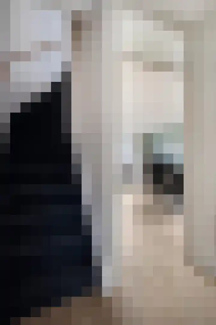 Vrouwenlaan 115 Zwolle thumbnail 4