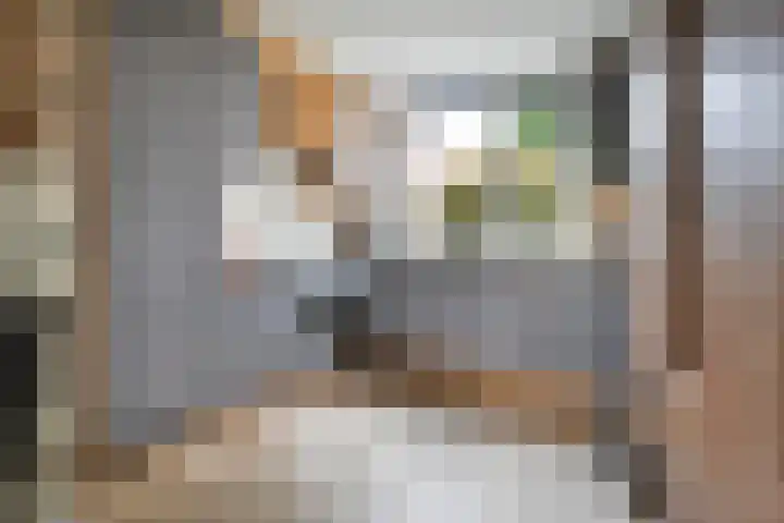 Vrouwenlaan 115 Zwolle thumbnail 8