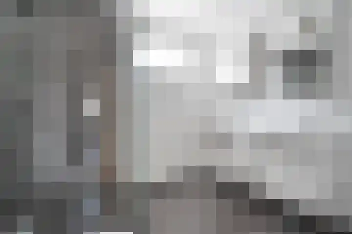 Vrouwenlaan 162 Zwolle thumbnail 21