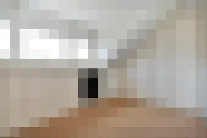 Vrouwenlaan 162 Zwolle thumbnail 24
