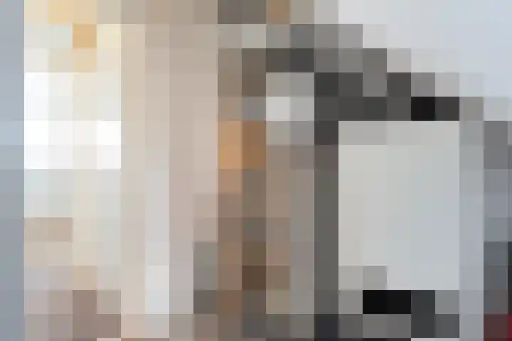 Vrouwenlaan 162 Zwolle thumbnail 28