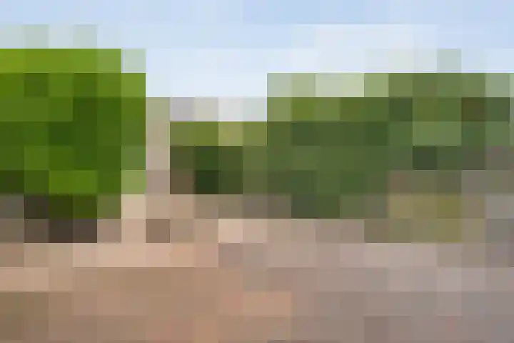 Vrouwenlaan 162 Zwolle thumbnail 30