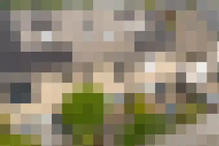 Vrouwenlaan 162 Zwolle thumbnail 34
