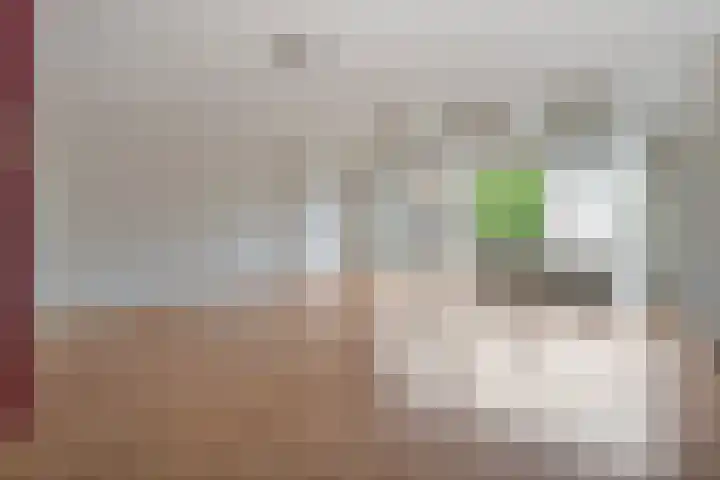 Vrouwenlaan 162 Zwolle thumbnail 6