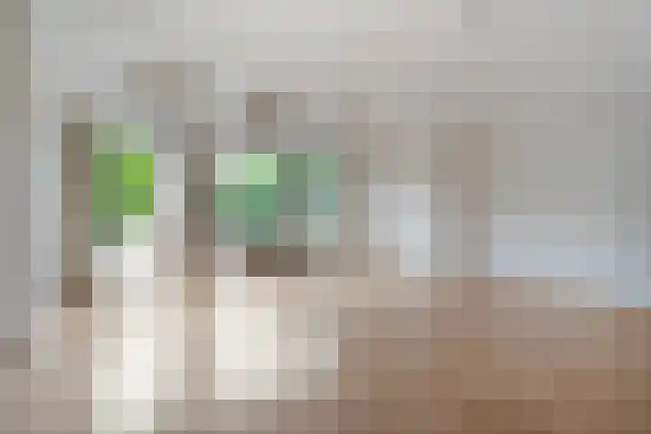 Vrouwenlaan 162 Zwolle thumbnail 7