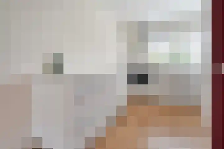 Vrouwenlaan 162 Zwolle thumbnail 9