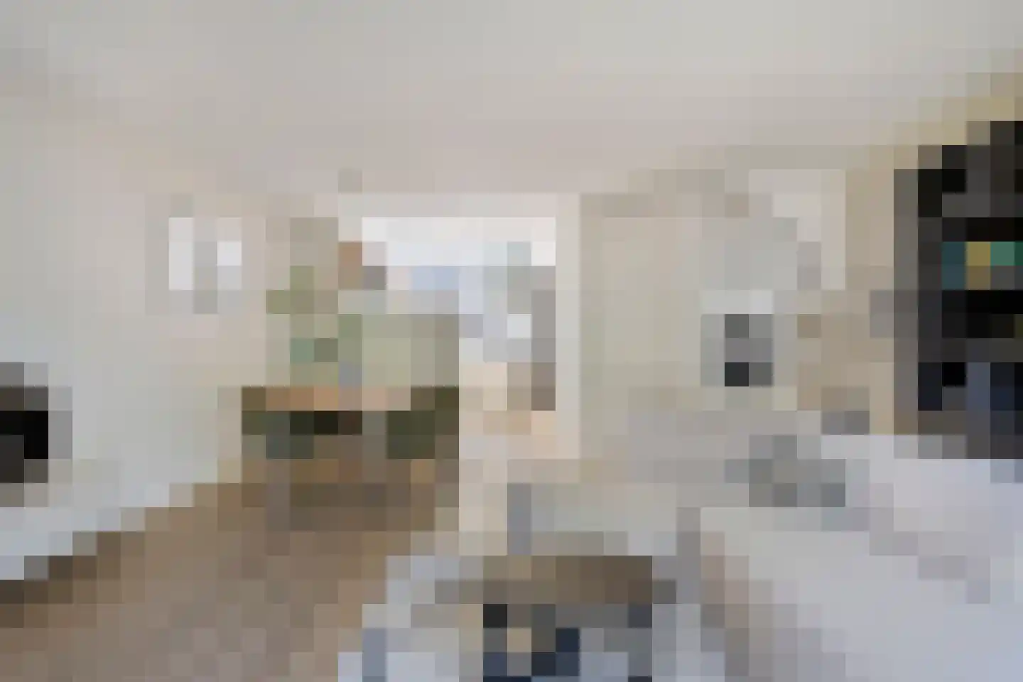 Vrouwenlaan 67 Zwolle thumbnail 10