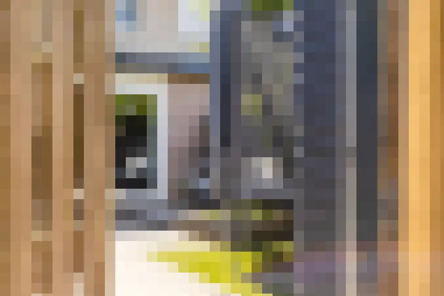 Vrouwenlaan 67 Zwolle thumbnail 37