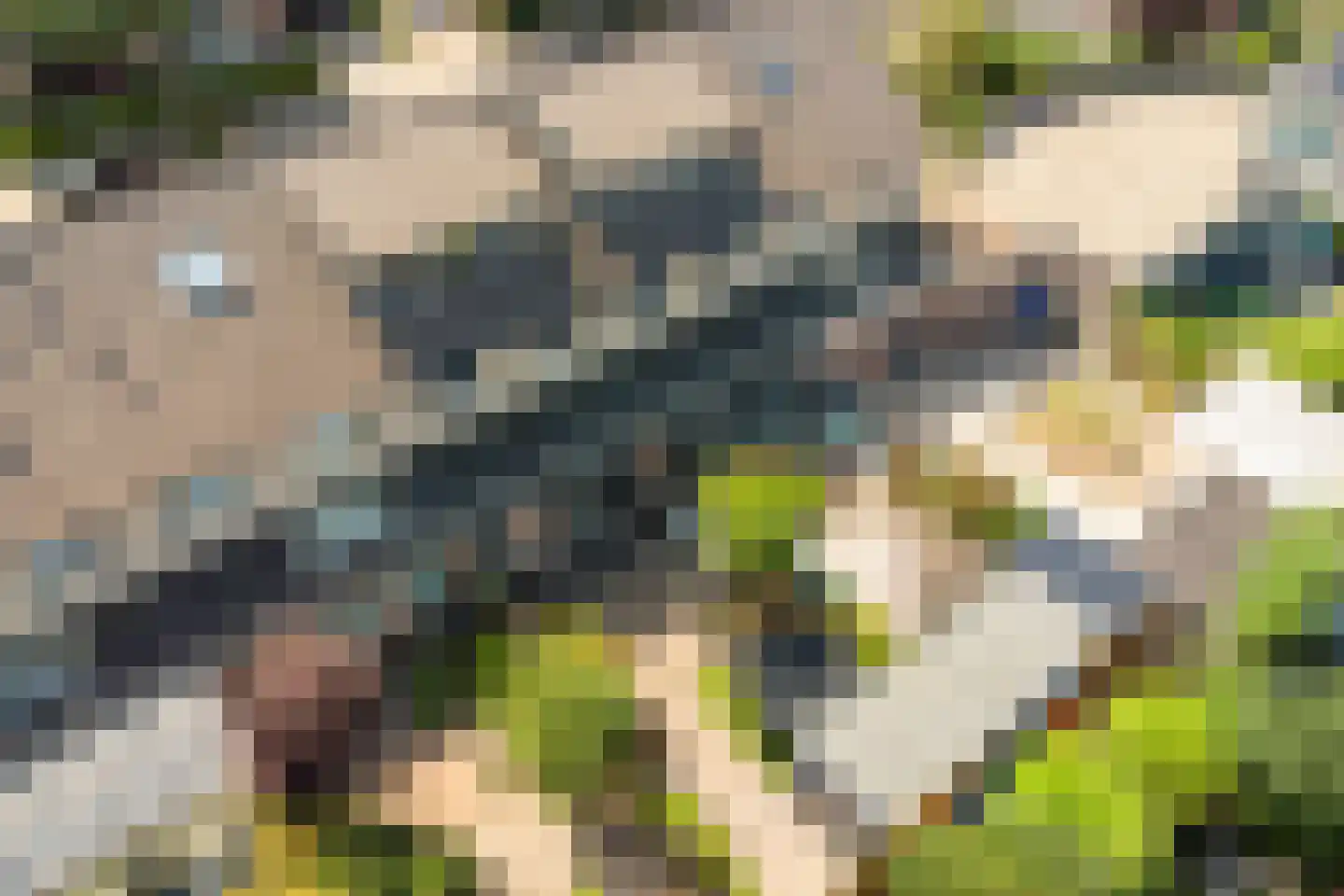 Vrouwenlaan 67 Zwolle thumbnail 4