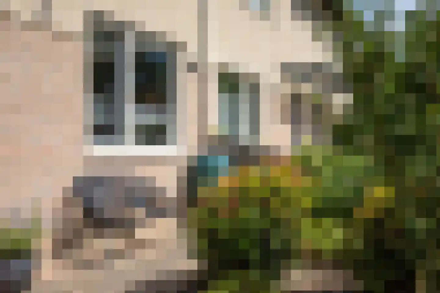 Vrouwenlaan 67 Zwolle thumbnail 6