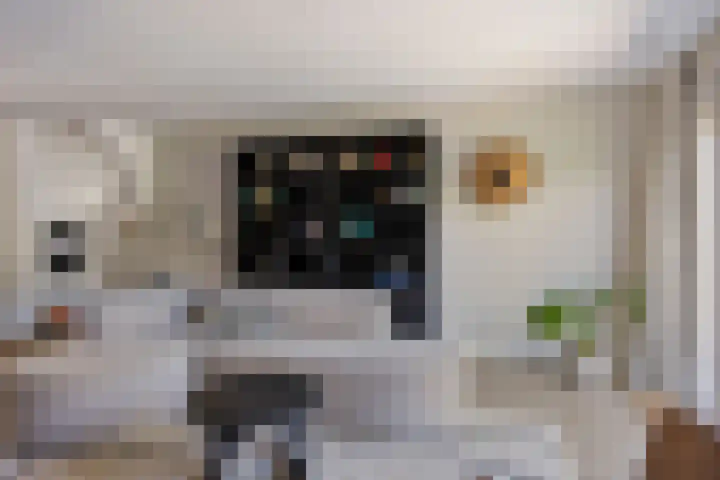 Vrouwenlaan 67 Zwolle thumbnail 9