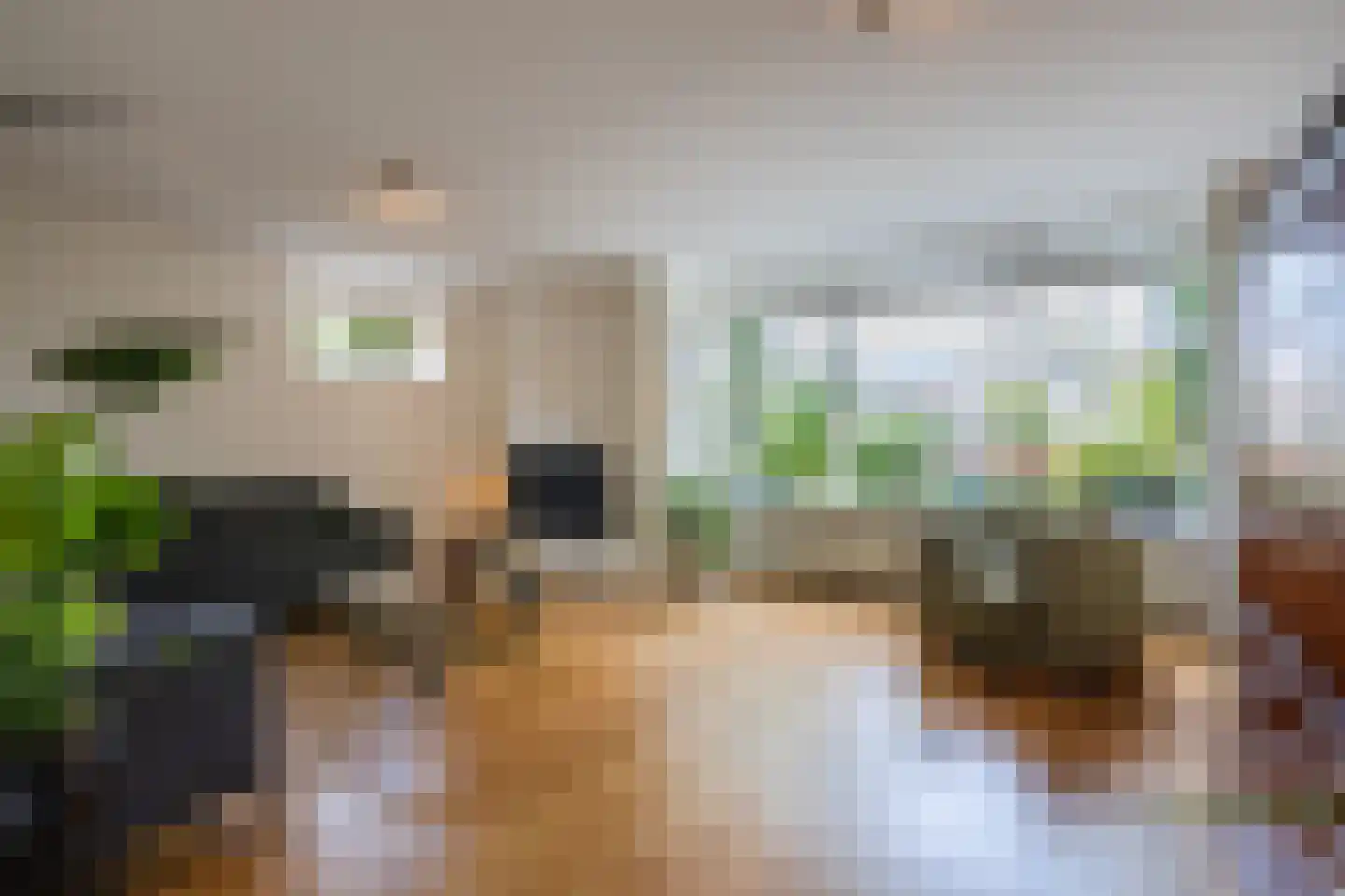Vrouwenlaan 80 Zwolle thumbnail 13